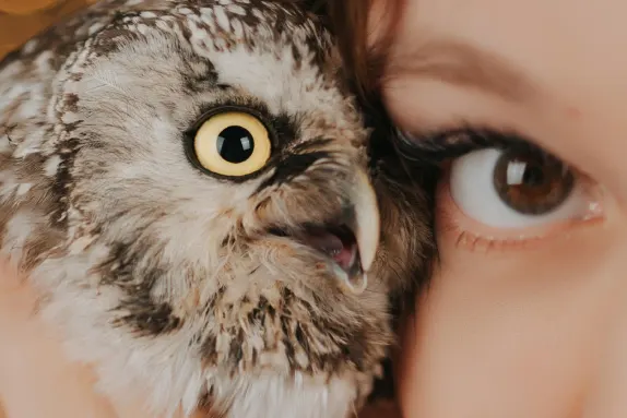 كازينو كازينو الدعم